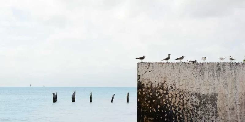 登封肯德基兼职薪资单示意图