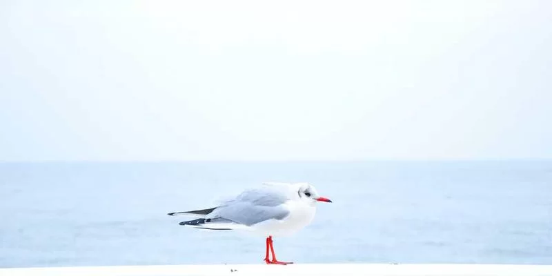 餐饮兼职工作场景