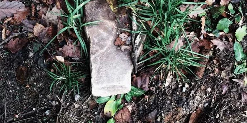 深圳兼职工作场景