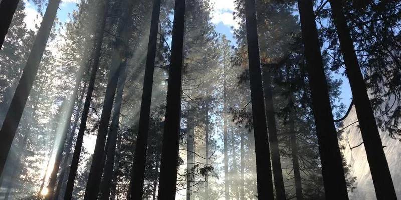 qs兼职平台用户操作界面示意图