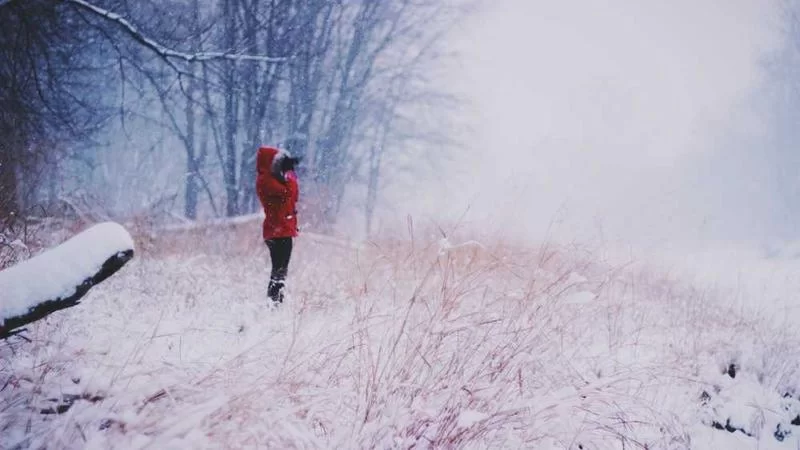 沃尔玛超市内部货架陈列场景