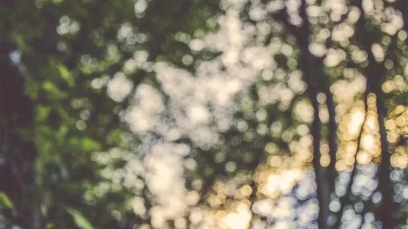 居家试衣师工作场景展示