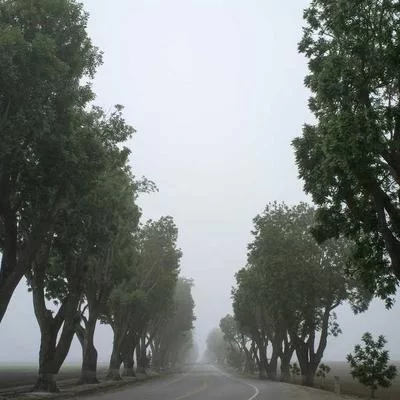 退款服务示意图