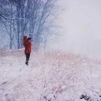 拼多多助手二维码