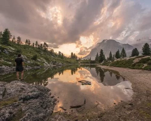 拼多多果园助力