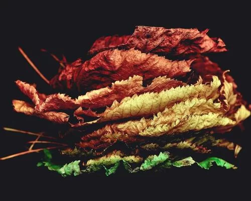 拼多多反助力系统示意图