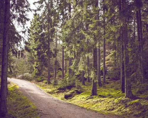 海洋助力示意图