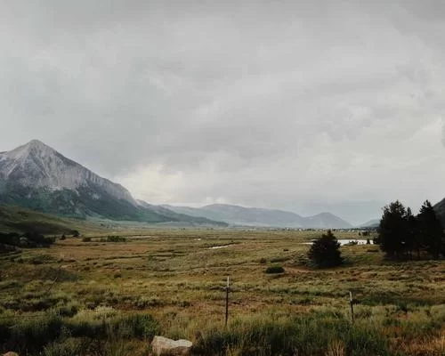 拼多多互助平台