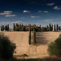 拼多多助力二维码