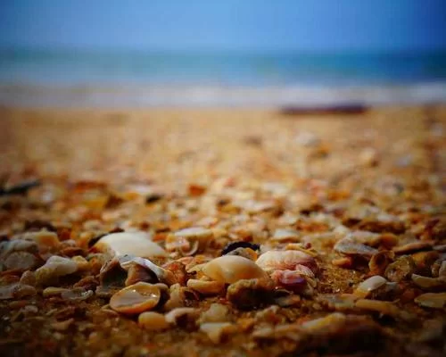 拼多多捕鱼游戏助力