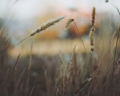 拼多多助力宣传海报设计