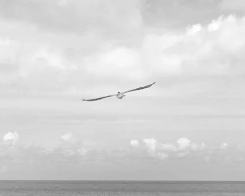 拼多多助力宝箱