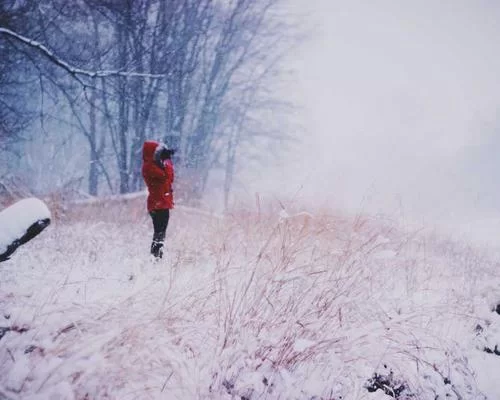 拼多多助力动画