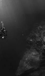 拼多多砍价截图示例