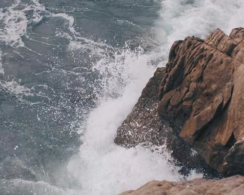 问卷设计示意图