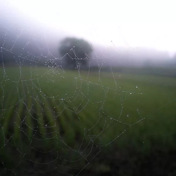 女生烘焙副业实战场景