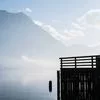 客户咨询