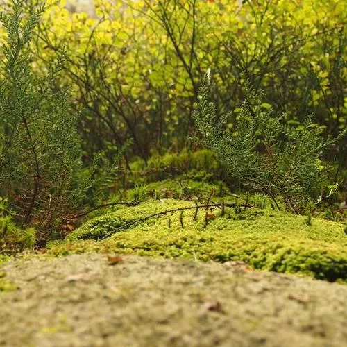 副业闯荡