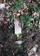 极简主义壁纸预览
