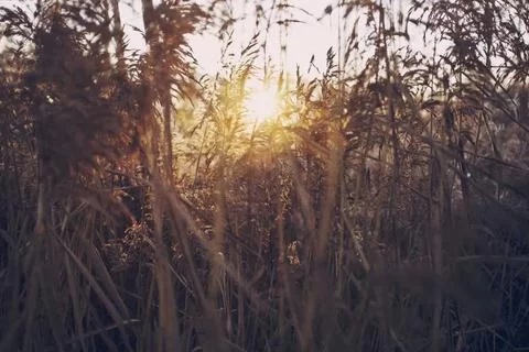 副业广告设计图2