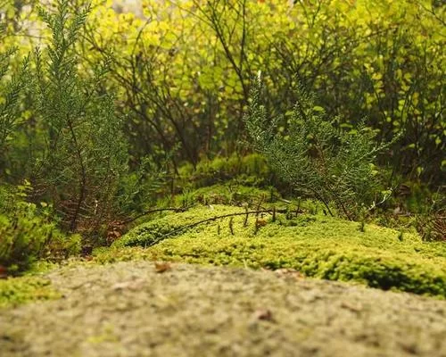 副业工作场景