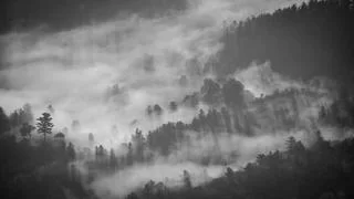 女生手机直播场景
