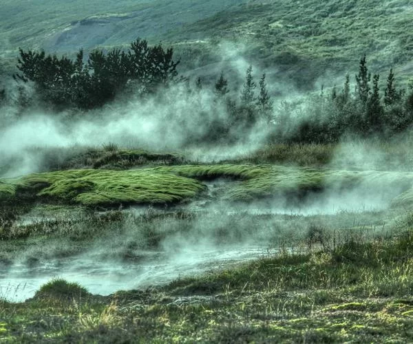 商场副业搞笑视频运营展示