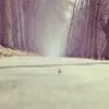 财富增值