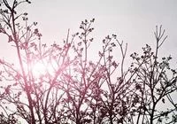 幕后花絮抓拍