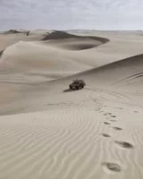北欧风格挂画