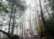 营销海报