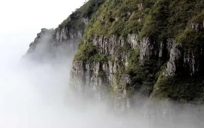 知识付费课程展示