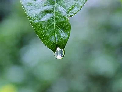 灵活安排时间的兼职赚钱方式
