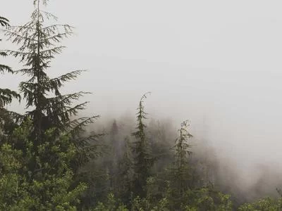 纪律处分后果