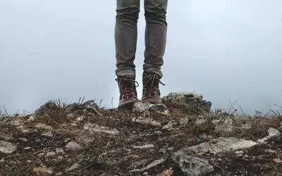 合规报备流程指南