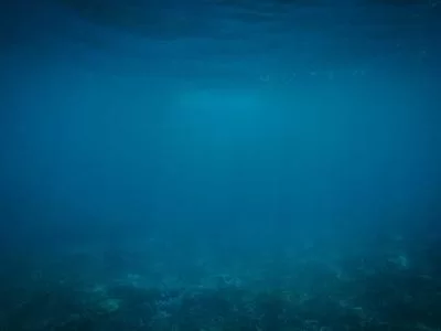 市场需求量大