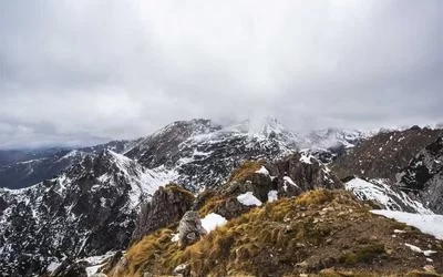 退休教师老刘