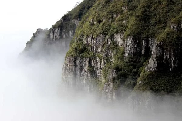 手机副业赚钱场景