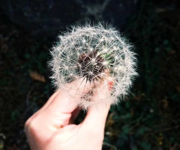 宝妈在家手机操作副业场景