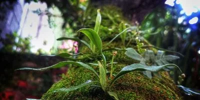 居家创业理念