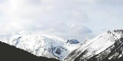 居家业务模式