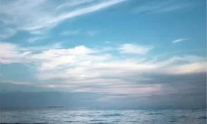 在线教学场景