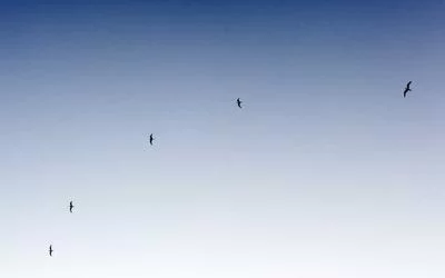 素材变现的多种方式