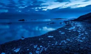 经济效益