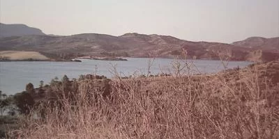 行业趋势契合度