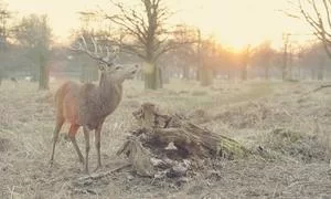 投资理财场景