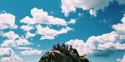 德鲁伊自然探索