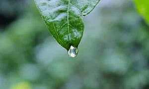 分类清晰的图片资源