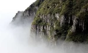 资质办理