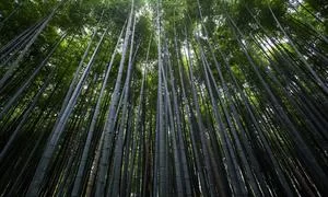 李老师的副业故事